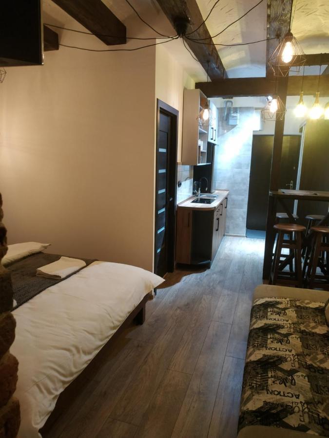 Loft Апартаменти З Балконом В Центрі Львова Buitenkant foto