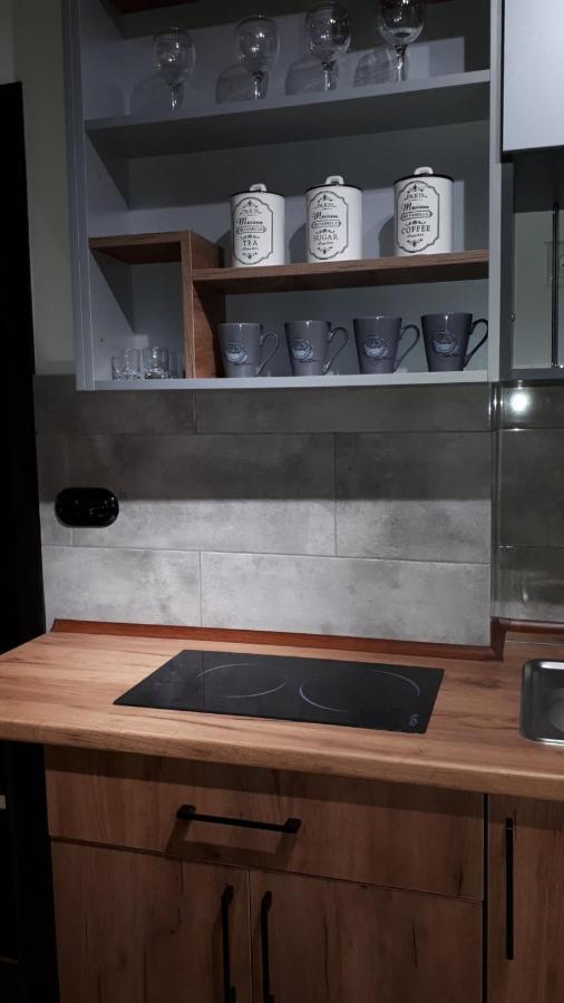 Loft Апартаменти З Балконом В Центрі Львова Buitenkant foto
